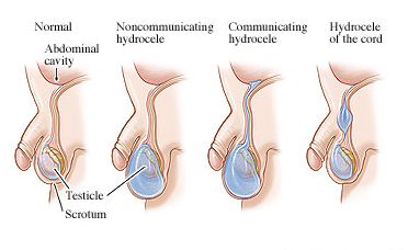 MSTRUSTHOSPITAL-surgery1
